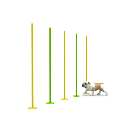 Pet Outdoor Playground Exercise Equipment for Dog - China Dog